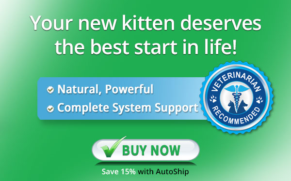 nuvet labs cats  vitamins supplements veterinarian recommended