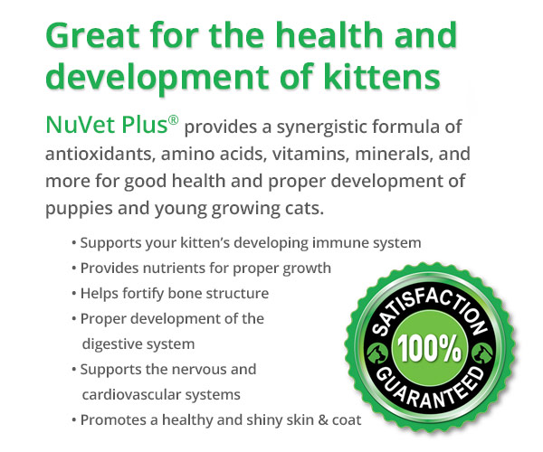 nujoint plus and nujoint ds pet supplements
