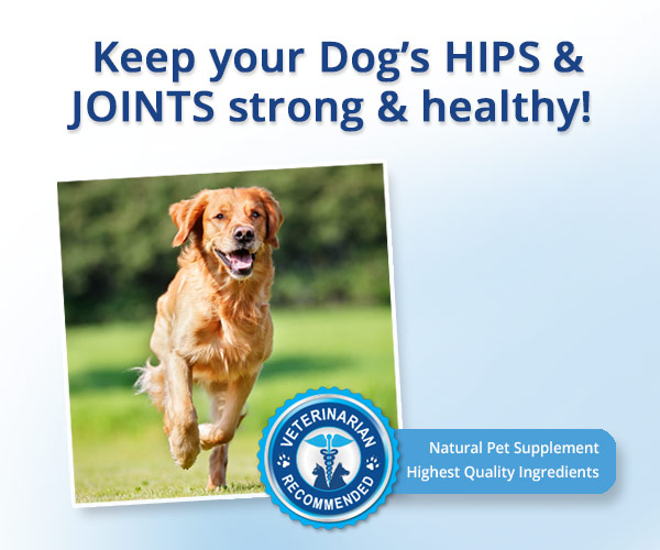 nujoint plus and nujoint ds pet supplements