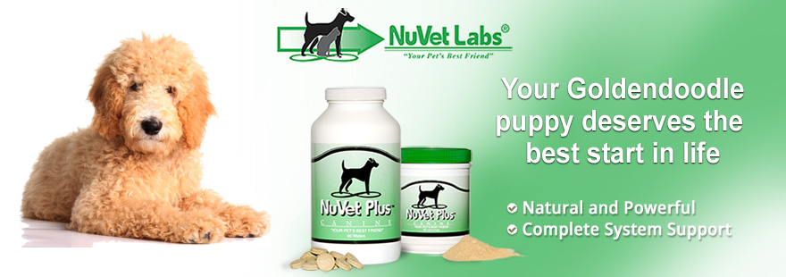 nuvet labs dogs cats vitamins supplements header