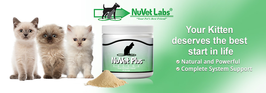 nuvet labs dogs cats vitamins supplements header
