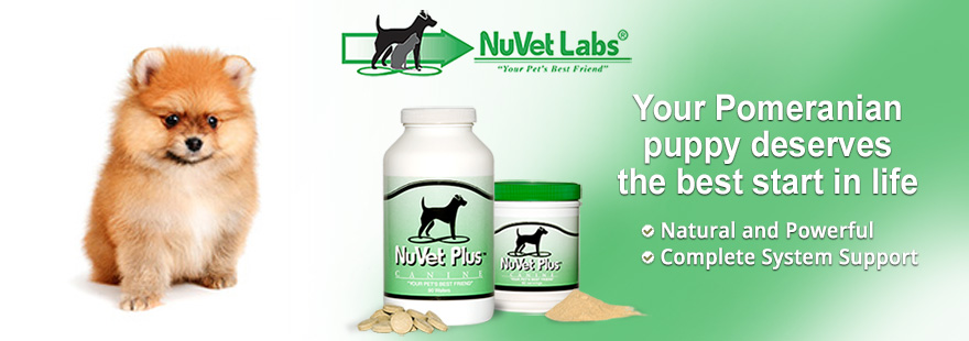 nuvet labs dogs cats vitamins supplements header