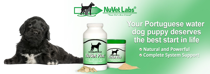 nuvet labs dogs cats vitamins supplements header